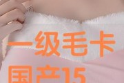 国产一级毛卡片不收费,畅享视觉盛宴
